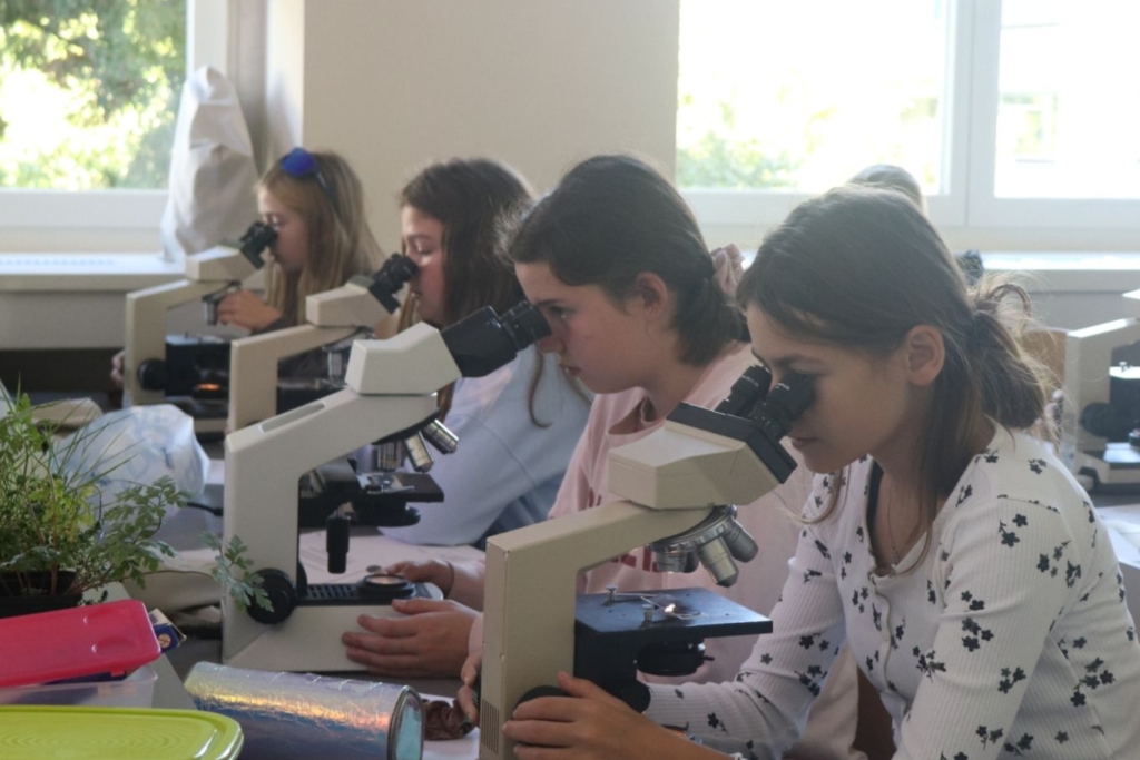 Schülerinnen an Mikroskopen