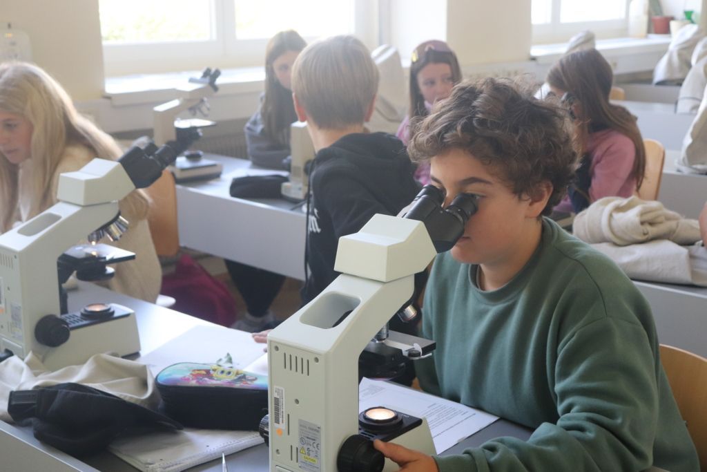 Schüler beim Mikroskopieren